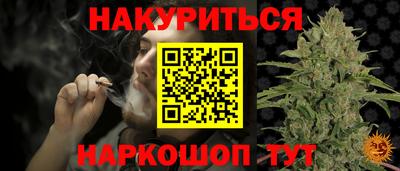 тгк Кингисепп