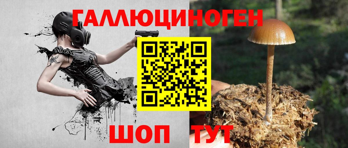 Псилоцибиновые грибы Psilocybine cubensis  Галлюциногенные грибы Magic Shrooms  Вход с VPN  Заринск 